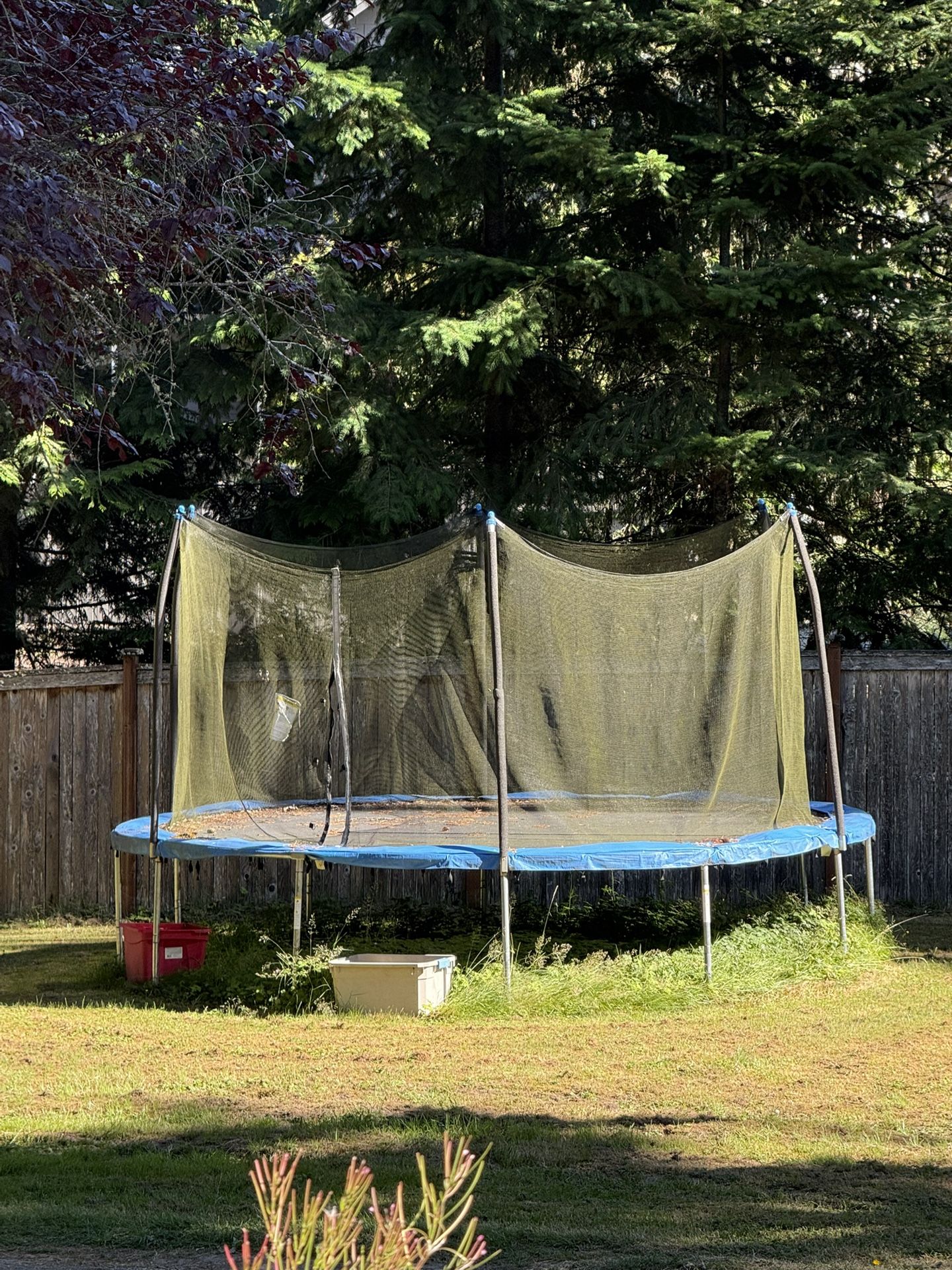 FREE trampoline