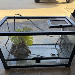 Thrive 10 Gallon Tank 