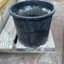 Garden Pot