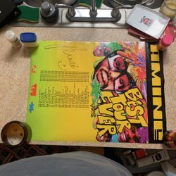 Amine BEST TOUR EVER *SIGNED* poster