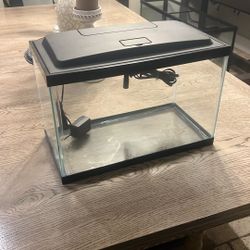 5 Gallon Aquarium 