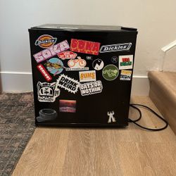 Mini Fridge