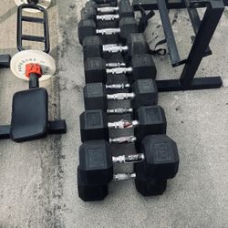 Workout - Gym Equipment - Stay Fit!