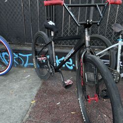 Throne 29er