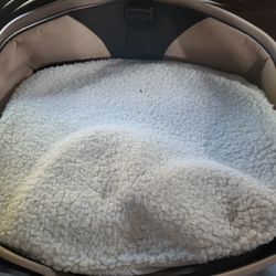 Travel Dog Bed