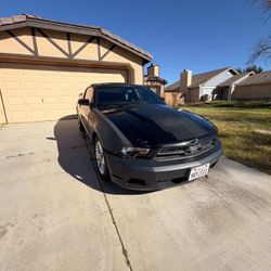 2010 V6 Mustang 