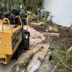 Stump Grinding 