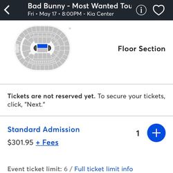 Bad Bunny Concert (Floor)