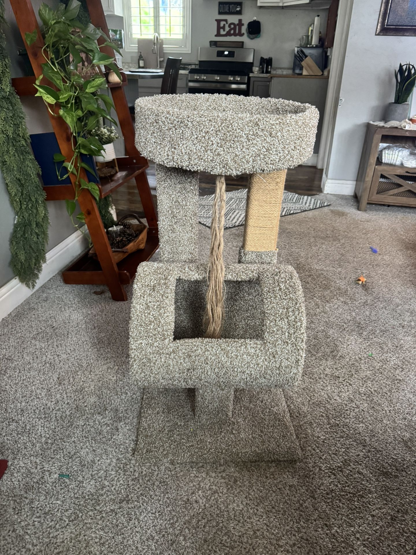Kitten Play House