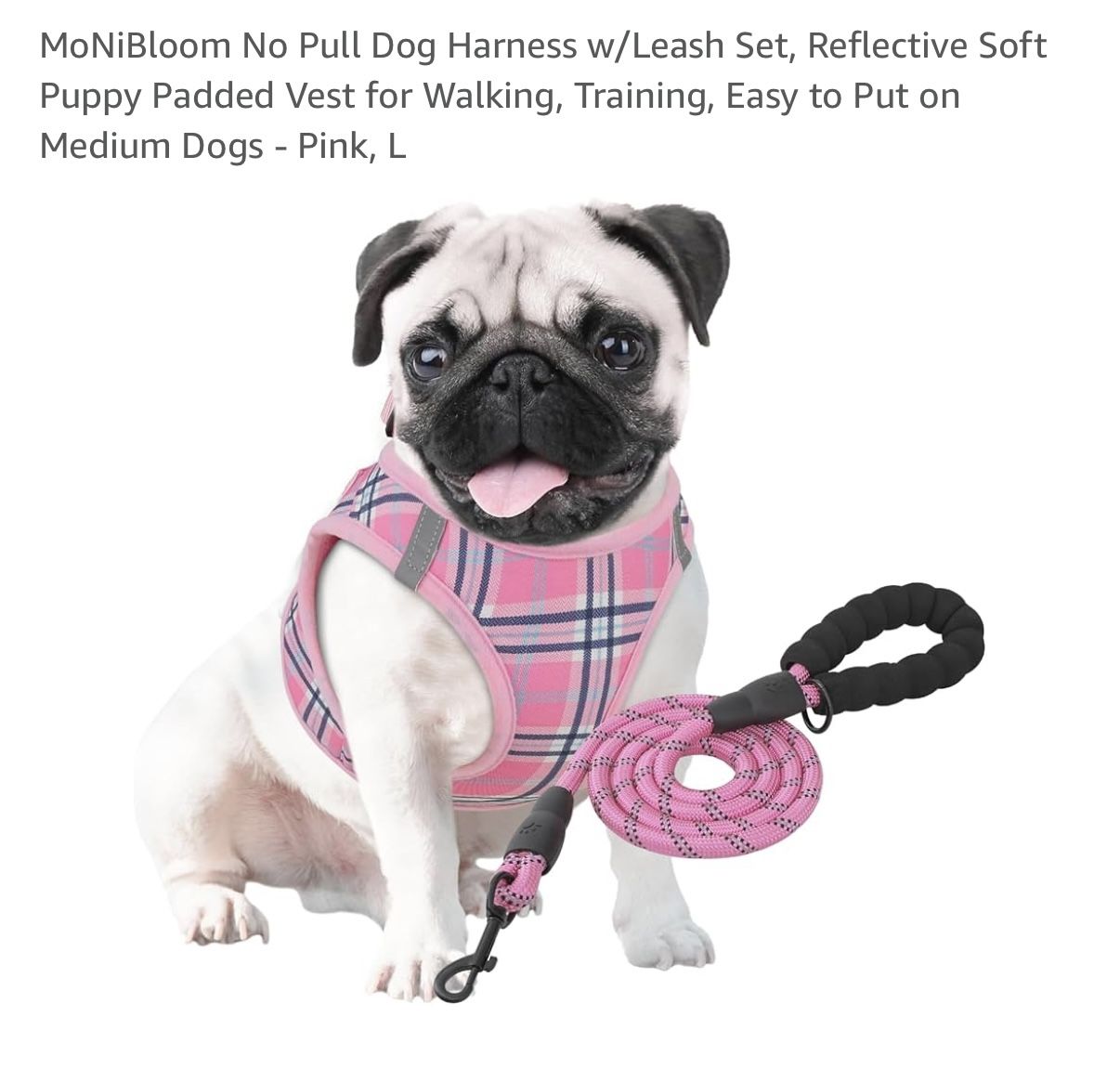 No Pull Harness And Leash (L)
