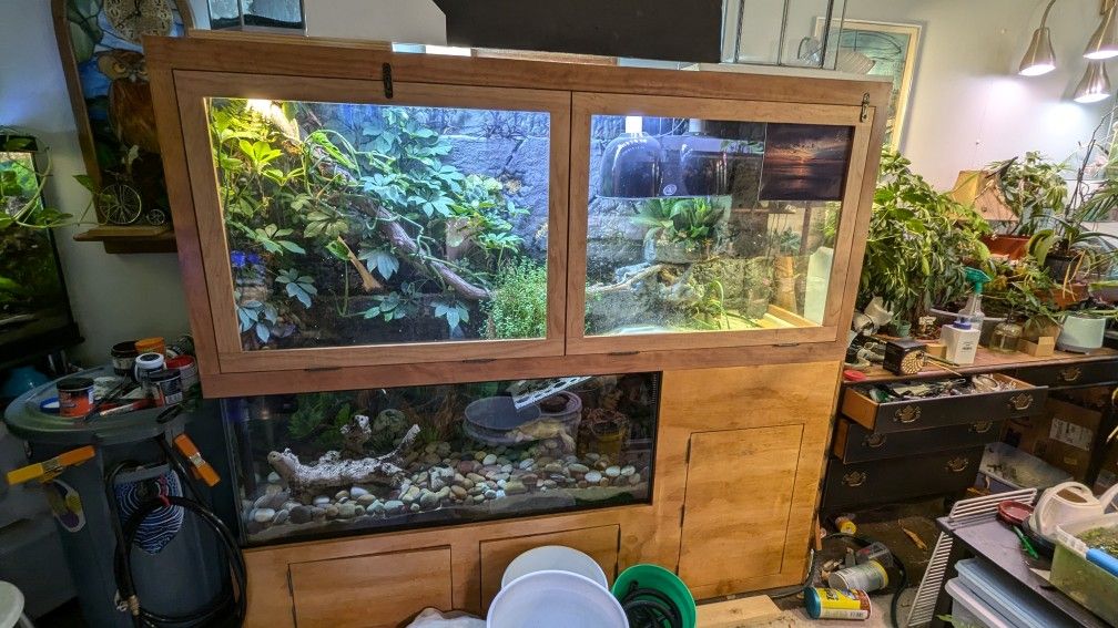 Aquatic Turtle Habitat
