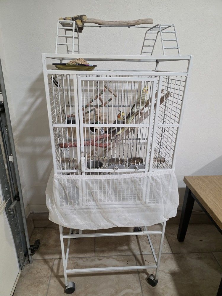 Bird 2 Cage