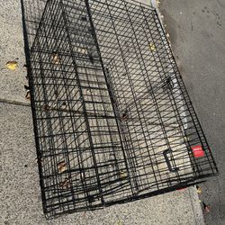 dog Cage