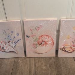 3 Piece  Seashell Canvas Frames 