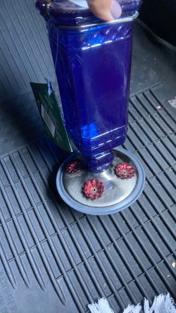 Antique hummingbird bird feeder