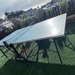 Ping Pong Table