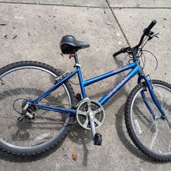 UNIVEGA Bicycle