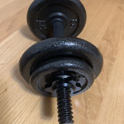 Dumbbell 20 Lb