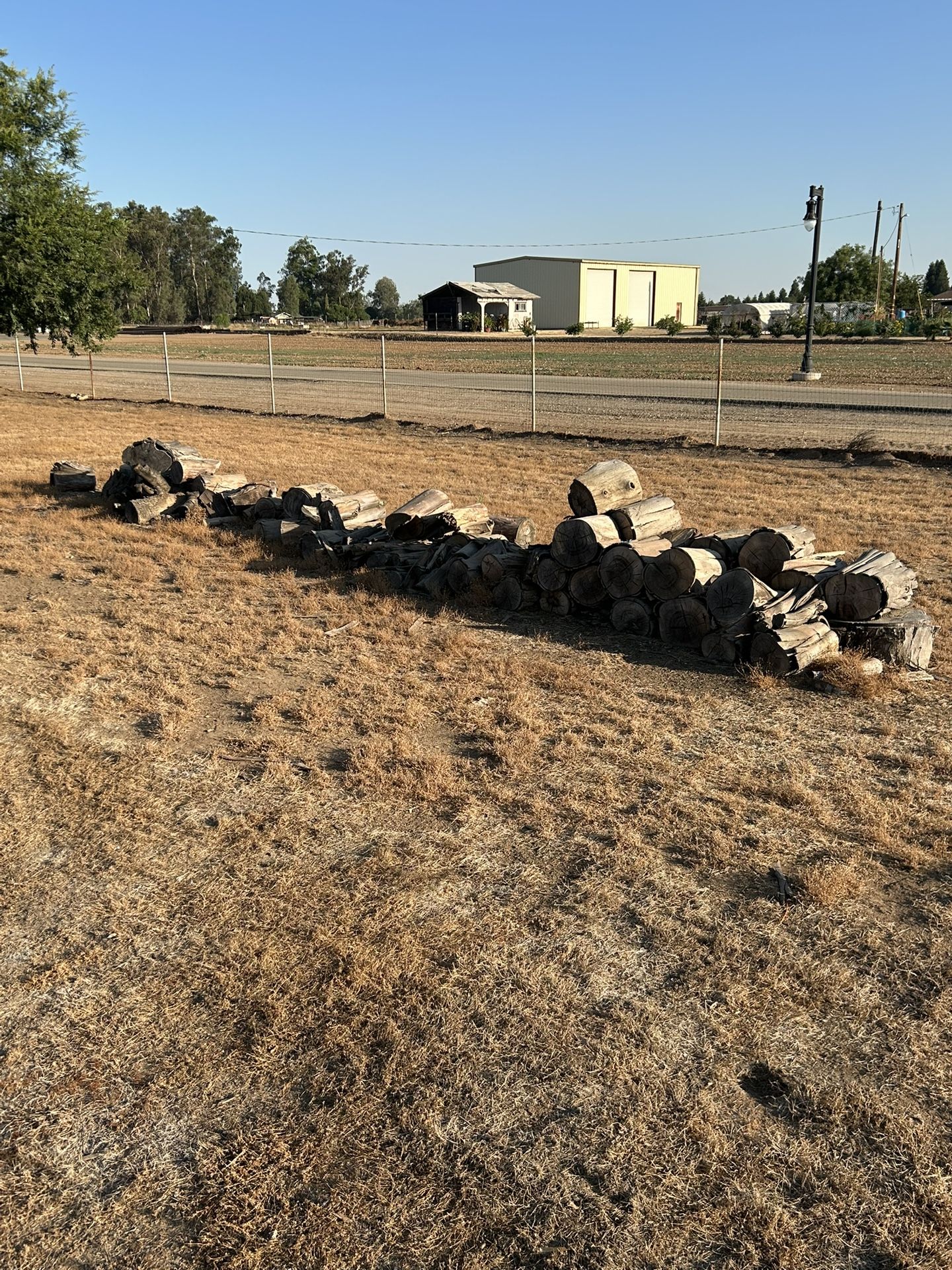 Free Firewood