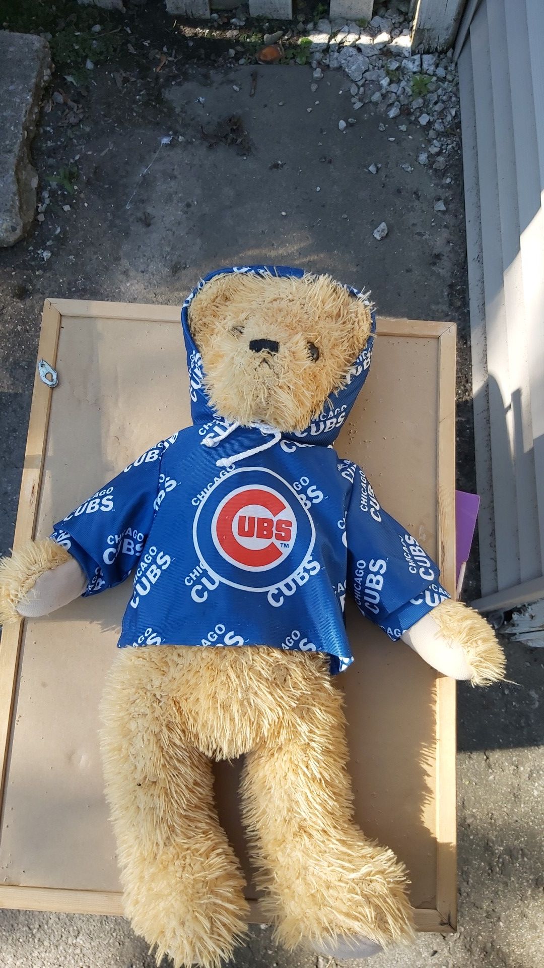 Chicago Cubs bear