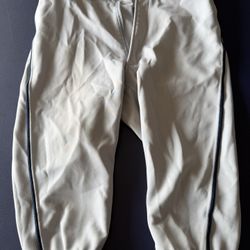 Mizuno Baseball Pants