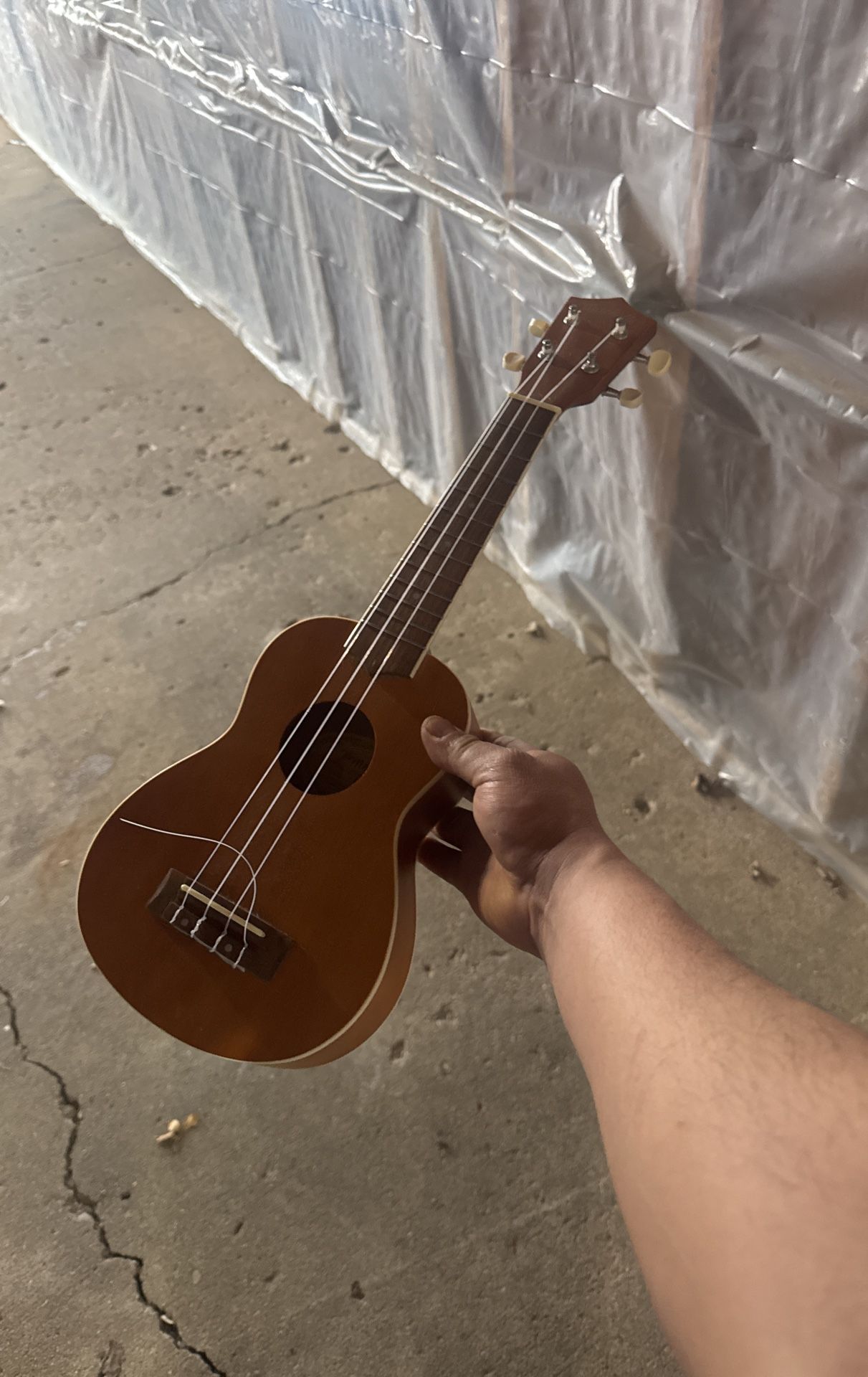 Ukulele