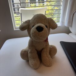 Teddy bear 