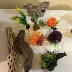 Aquarium Decorations