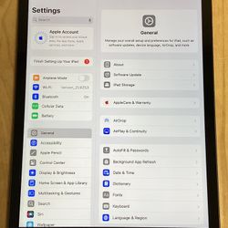 iPad Wi-Fi + Cellular 