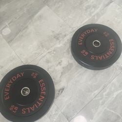 Cash only no Zelle pair of new 55lb Olympic weights plates total 110lb bumper plates new never used