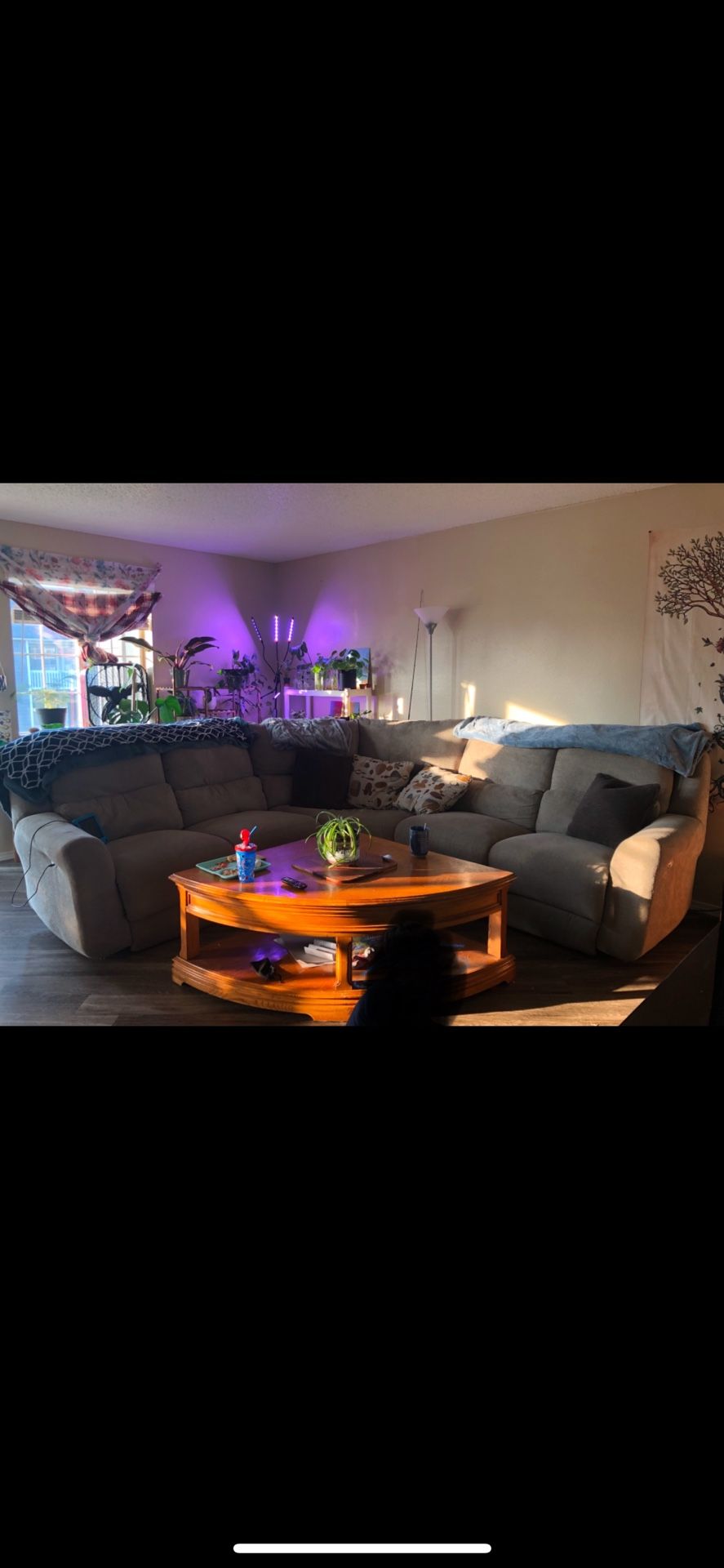 Grey Sectional Couch