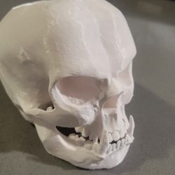 3D Printed Monster Skull Planter