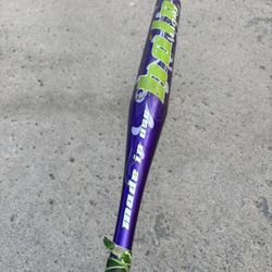 Miken Halo Fast Pitch Softball Bat