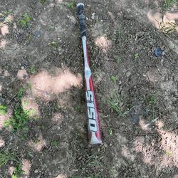 Bat