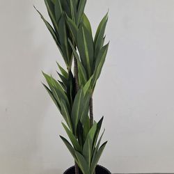 *** REDUCED *** 60" Faux Dracaena in 15" (Tall) Black Resin Planter @ Lasting Creations
