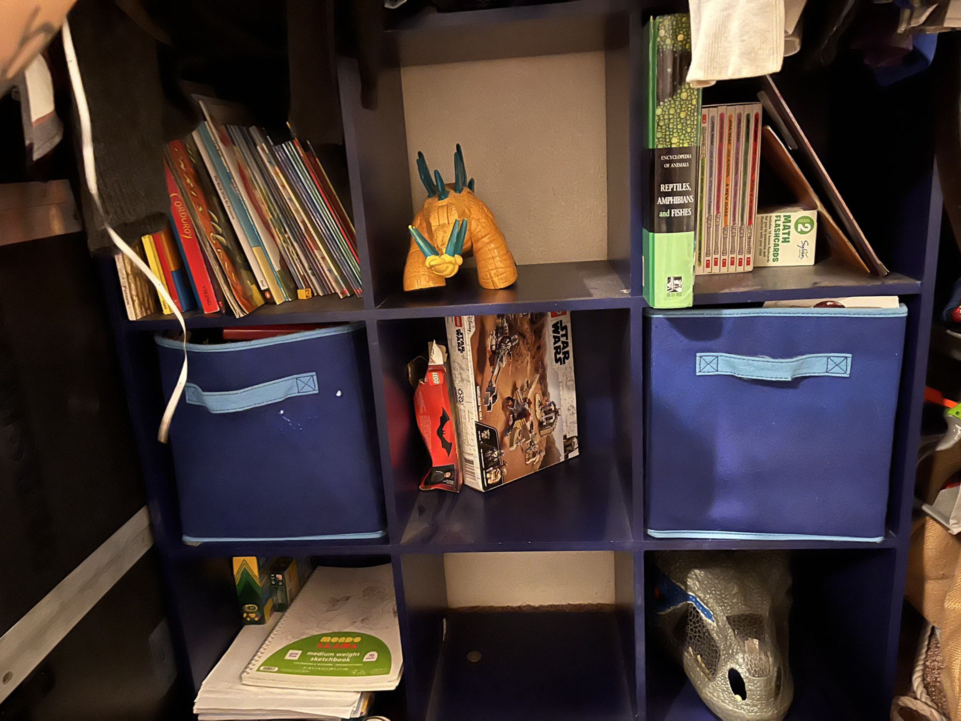 9 Cubby Toy/book Shelf