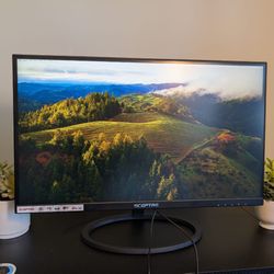 Sceptre  Monitor For Saleee!