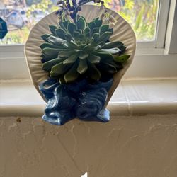 Various House Plants 🪴 