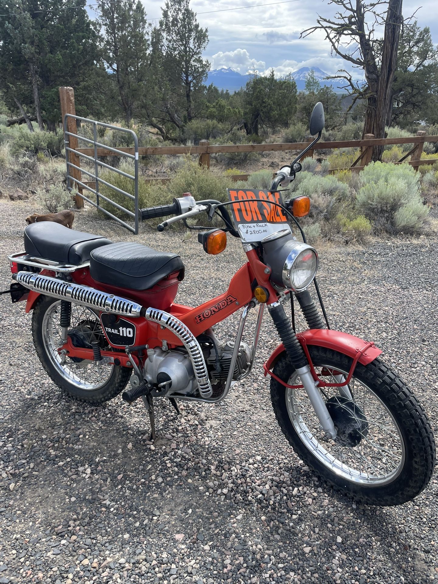 1981 Honda Trail 110