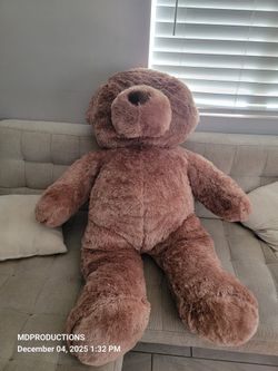 Giant Teddy  New!!
