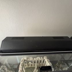 Fish Tank Light