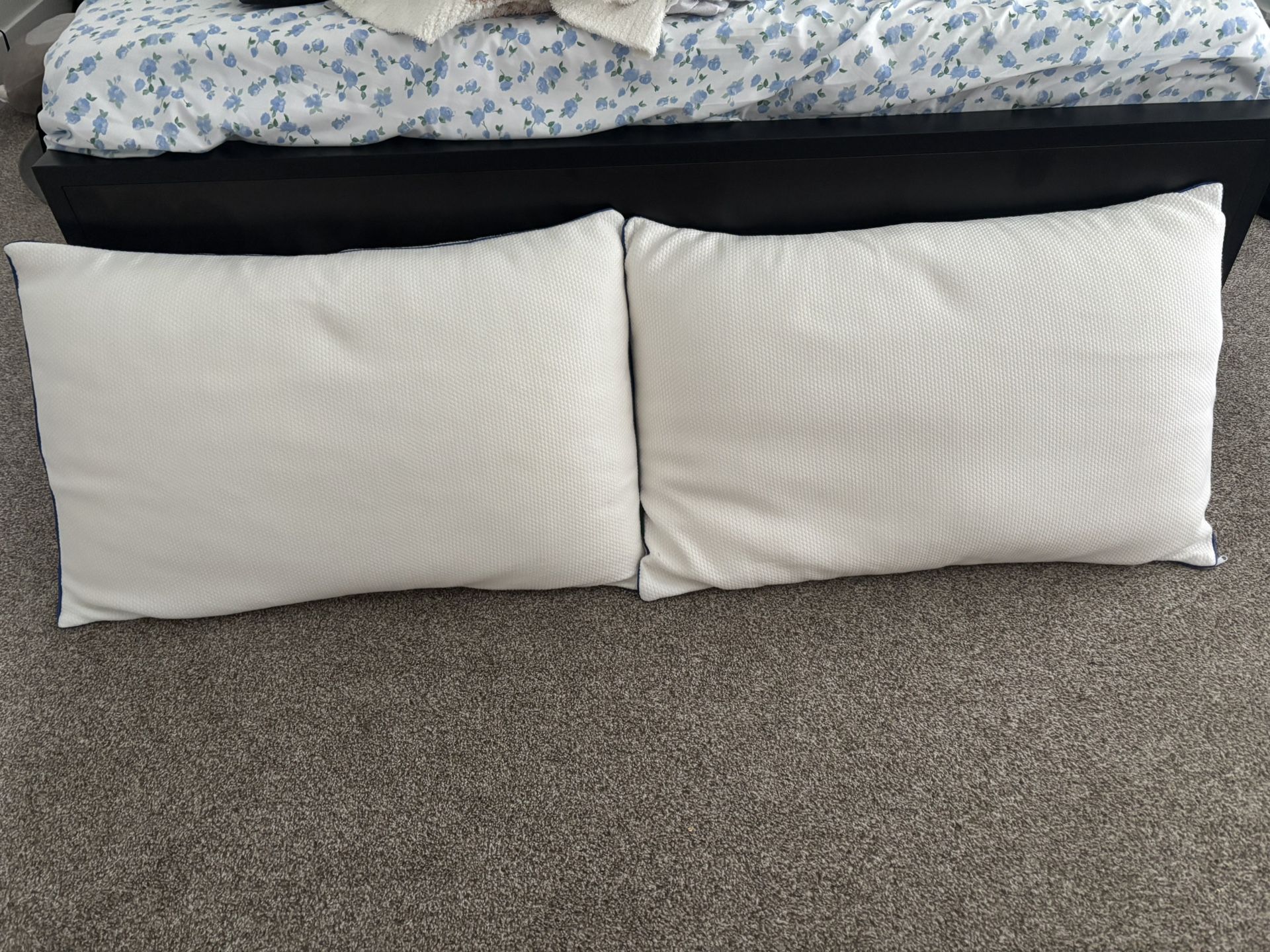 Large Pillows