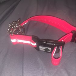 Dog Collar 