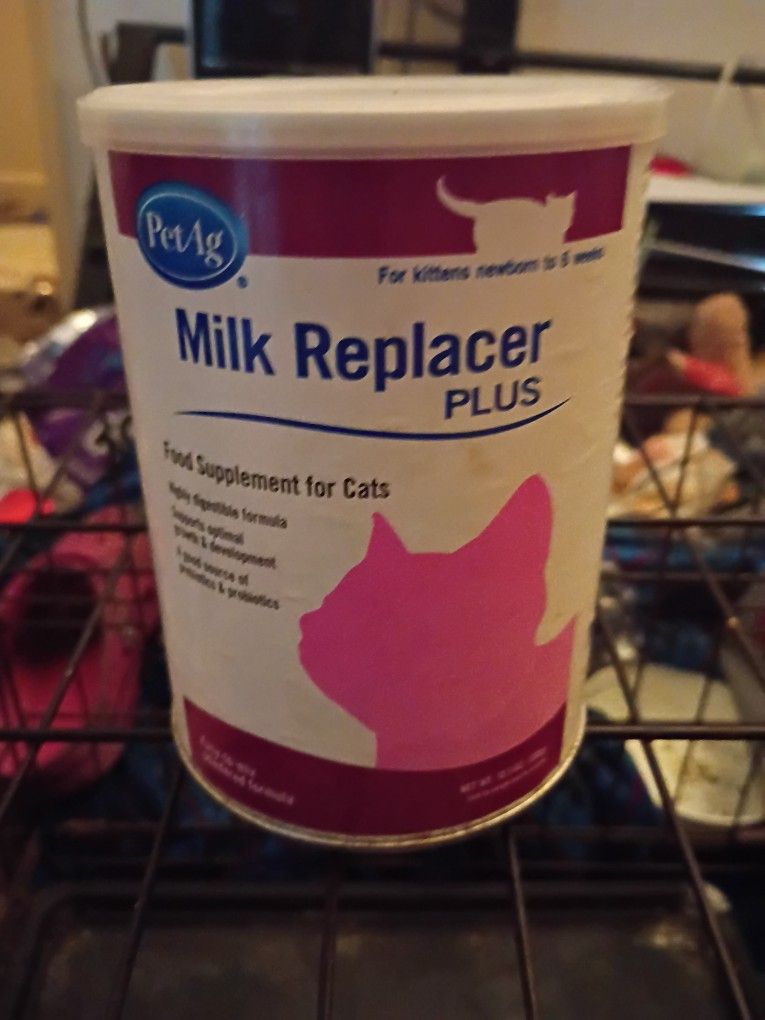 Kitten Milk