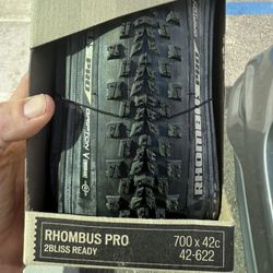 Specialized Rhombus Pro 700x42 Tire