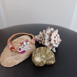 Shells And Braclet