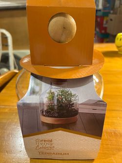 Real Living California Sun Glass Terrarium with Wood Base