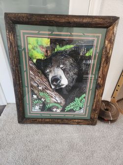 Framed Black Bear Wildlife Art Print
