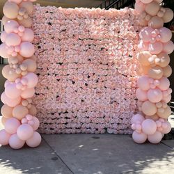 Balloons Backdrops Dessert Carts Decor Props