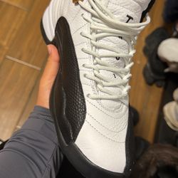 Jordan 12 Taxi